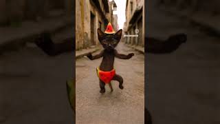 Vo Vo Vo ballerinacappuccina