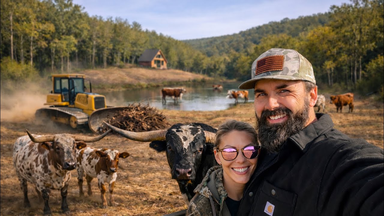 Transforming Our Dream Property!