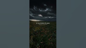سبحان الله وبحمده❤️_____________#اكسبلور #explore #حالات_واتس #قرآن #تلاوات #ياسر_الدوسري #المنشاوي