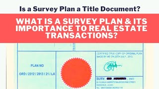 Is a Survey Plan a Title Document | What is a Survey Plan & its Importance | Raymond Ijeomah