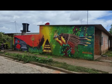 Medio ambiente y deforestación plasmado en murales hechos por mujeres