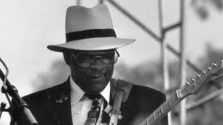 Hubert Sumlin - Sometimes I&#39;m Right | Best Blues Songs