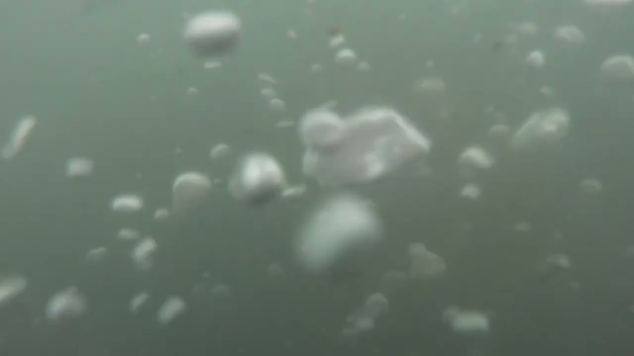 diving for golf balls island green, zero visibility