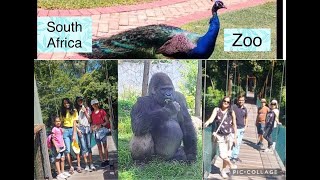 South Africa Ka Zoo#MiniJungle#PretoriaZoo# South Africa Ka Chidiya Ghar #IndiansInSouthAfrica#