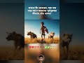 মানবজাতির টিকে থাকার মহাকাব্যিক যাত্রা।।২ #adventure #prehistoric  #shortvideo