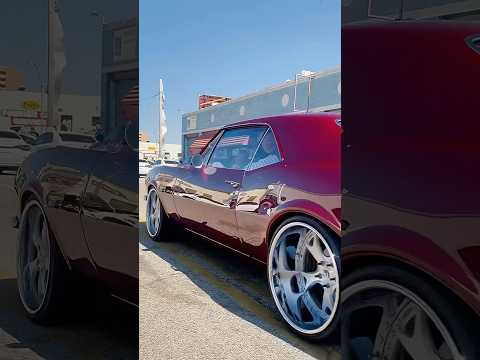 Ass Kicking Camaro Cruising Camaro Ss Oldschool Forgiato Edge Motor Museum Memphis