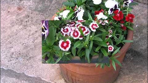 The JMC anthem Red Dwarf fan made music (C) AwH