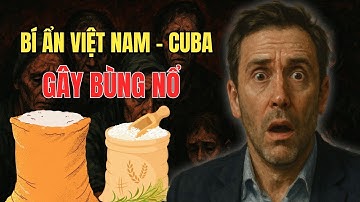 Khủng Hoảng Lương Thực và Việt Nam – Cuba 2025: Câu Chuyện Nghĩa Tình Bùng Nổ Toàn Cầu