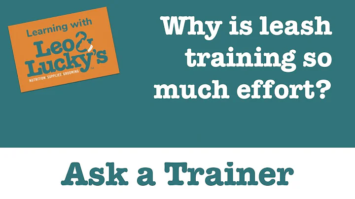 Ask A Trainer: Leash Training