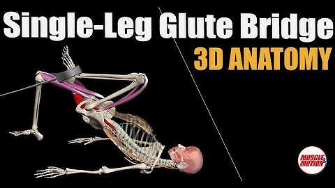 Single-Leg Glute Bridge with Hip Flexion