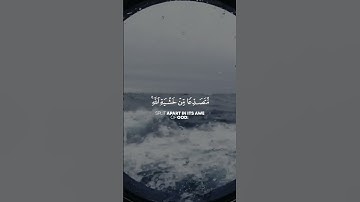 من سورة الحشر | القارئ شريف مصطفى ♡.