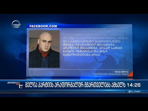 ნიკა მელია პარტიის არაფორმალურ მმართველებს ამხელს