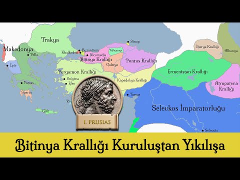 Video: Kapitan Mosinin tüfəngi haqqında Sovet tarixşünaslığı