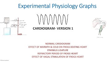 Cardiogram Version1 |Experimental Physiology| First Year MBBS | Practical Physiology