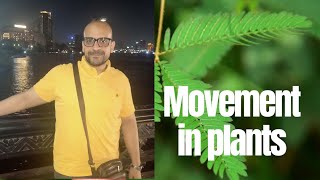 movement in plants to Dr.Ahmed Farahat ..from prepaid online course