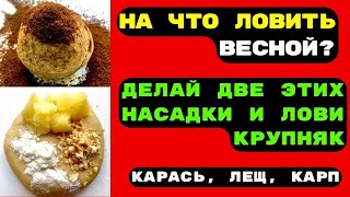 Насадки Для Рыбалки На Карася, Карпа, Леща. Весной Без Рыбы Не  Останетесь.