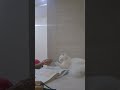 What's Her Name ? Anyone wants to know ? #catlove #pet #petlovers #peaceful #catvideos #cats