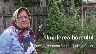 Păncești, Umplerea Borșului Rețetă Povestită Ecultfood