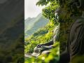 有緣人,無論是天意還是無意,留下一句「心想事成,時來運轉」,願你所求皆如願!#peace #universe #love #religion #buddha