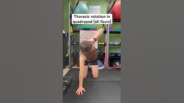 Thoracic rotation in quadruped (on all fours)  #physicaltherapy #thoracicmobility