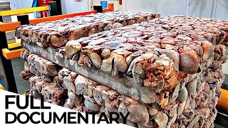 Inside The Pet Food Factory | ENDEVR Documentary