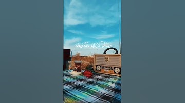 تلاوة هادئة خاشعه لراحة قلبك 🌿🤍#عبدالله_الخلف