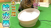 お腹に優しい軟水で健康に ピュアクリスタル コパンとは ドランクドラゴンのバカ売れ研究所 番組公式 Youtube お腹に優しい軟水で健康に ピュアクリスタル コパンとは ドランクドラゴンのバカ売れ研究所 番組公式 Youtube