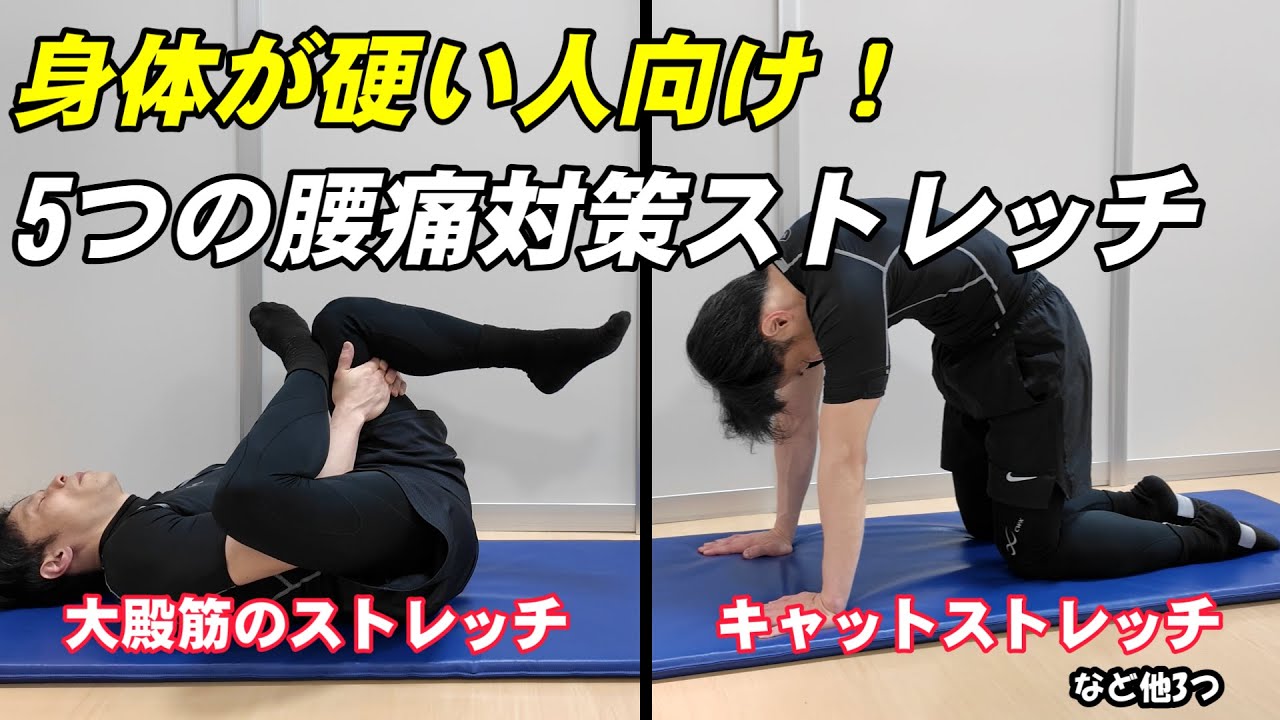 5 Stretches for Lower Back Pain (Even If You're Inflexible