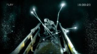 These Creatures Found Me... At the Bottom of the Ocean!