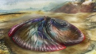Развитие жизни на Земле (The Evolution of Life) - Альбумарес (Albumares brunsae) Развитие жизни на Земле (The Evolution of Life) - Альбумарес (Albumares brunsae)