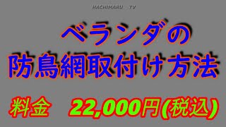 ベランダの防鳥網取付け方法