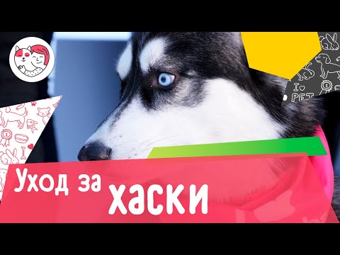5 особенностей ухода