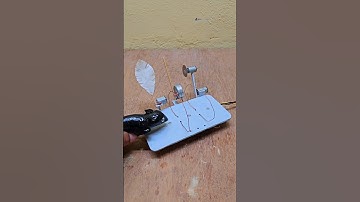 Mouse trap With stick & Feather !latest version 3 #bugtrap #funny #engineering