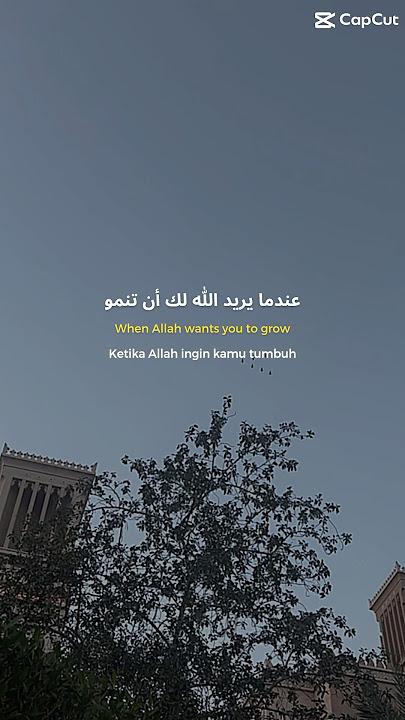 #dubai