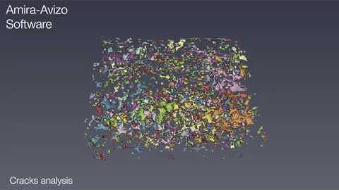 Avizo for Materials Science | Metallic foam analysis