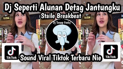 DJ SEPERTI ALUNAN DETAG JANTUNGKU STAILE BREAKBEAT SJ TAK ADA YANG ABADI SOUND TRENDING TIKTOK NIE 