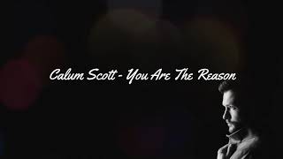 Calum Scott - You Are The Reason (Cover by Alexadra Porat - lyrics)