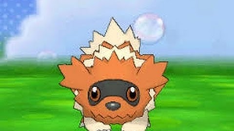 Squigly the Shiny Zigzagoon - Saigan