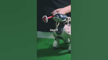 Robots With Survival Instincts?! #futuretech #facts #aichallenge #artificialintelligence #ai