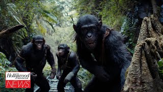 'Kingdom of the Planet of the Apes' Makes $6.6M in Box Office Previews | THR News