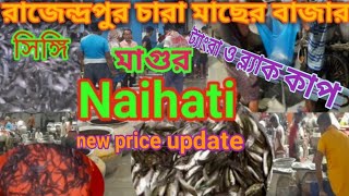 Fish seed supplier in West Bengal||Naihati fish seeds market||#video #chara #seeds#biofloc#viral