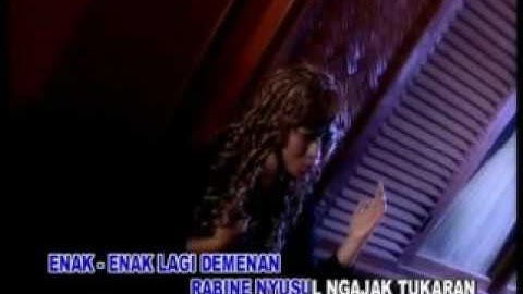 NGADU WADON-WULAN(tibi)