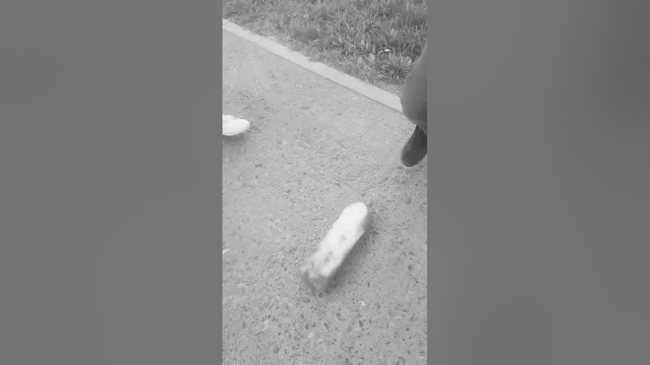фотка пива - YouTube
