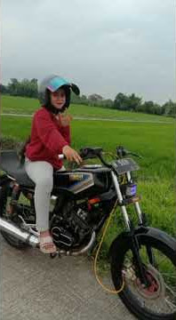 story WA rx king