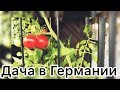 #Дача в Германии, #Влог, #Vlog, Дача в Германии