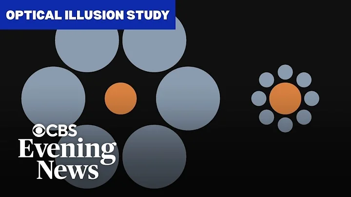 Study finds some experts can outsmart optical illusions