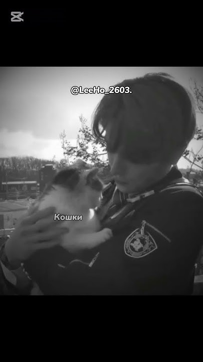 Кошки так не ранят.. #вирт#straykids #LeeHo_2603#kpop#shorts#рек#кпоп# ...