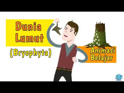 Video: Apa yang dimaksud dengan Hepatophyta?