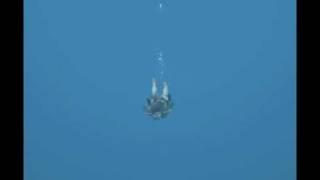 Tomb Raider Underworld Underwater Bug
