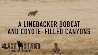 A Linebacker Bobcat and CoyoteFilled Canyons | The Last Stand S3:E3 | Western Nebraska